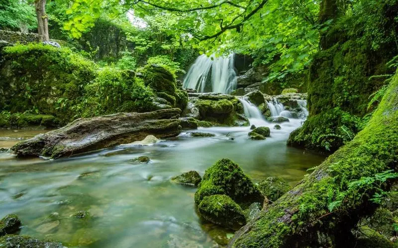 高标准电子节能